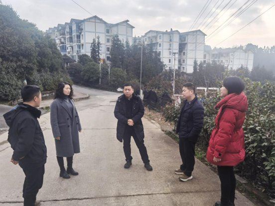 圣灯山镇党委书记腊丁扬带队开展马路办公，并督导村居人居环境整治、产业发展等相关工作