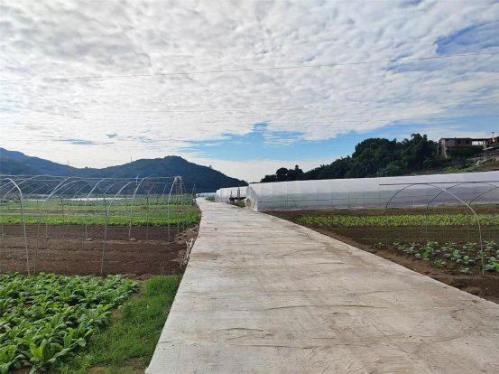 莲花街道：大中村沿河道路硬化完成打通乡村振兴“快车道”